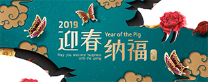 高血脂：瞭解原因與預防方法